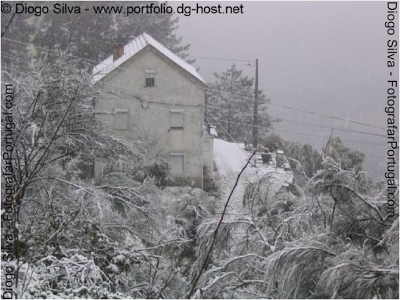 Natal com neve, Natal com chuva: dois poemas, dois poetas, sessenta anos e um oceano de permeio